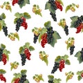 Vector garden berries currant seamless pattern. Background design for tea, ice cream, natural cosmetic